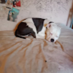 Meet your Posher, Chantel